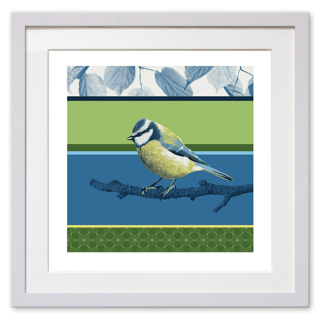 Eurasian Blue Tit