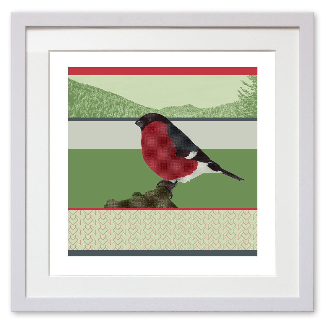 Eurasian Bullfinch