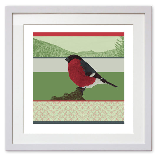 Eurasian Bullfinch