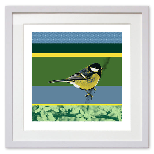 Great Tit
