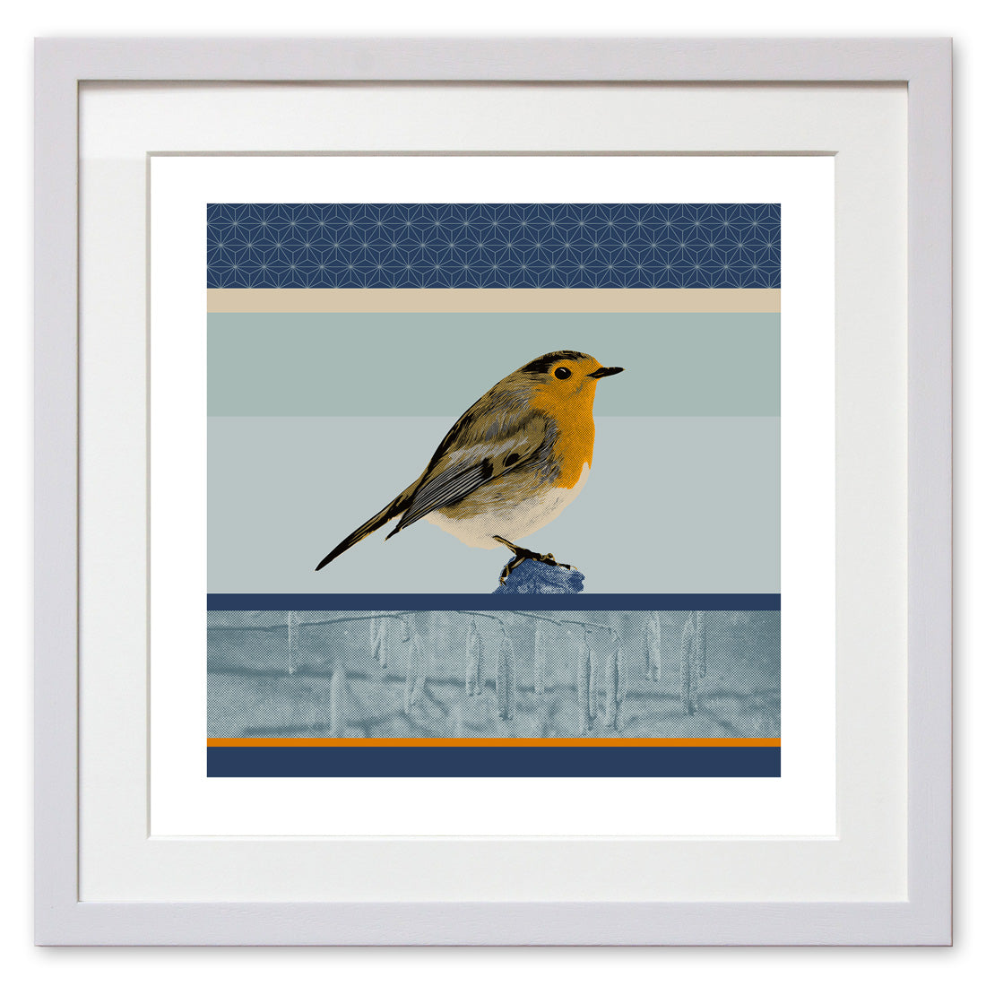 European Robin