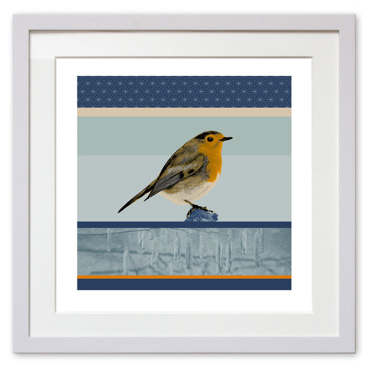 European Robin