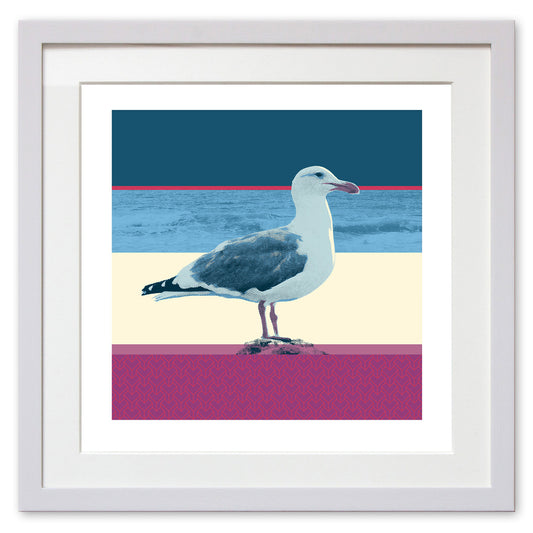 Seagull