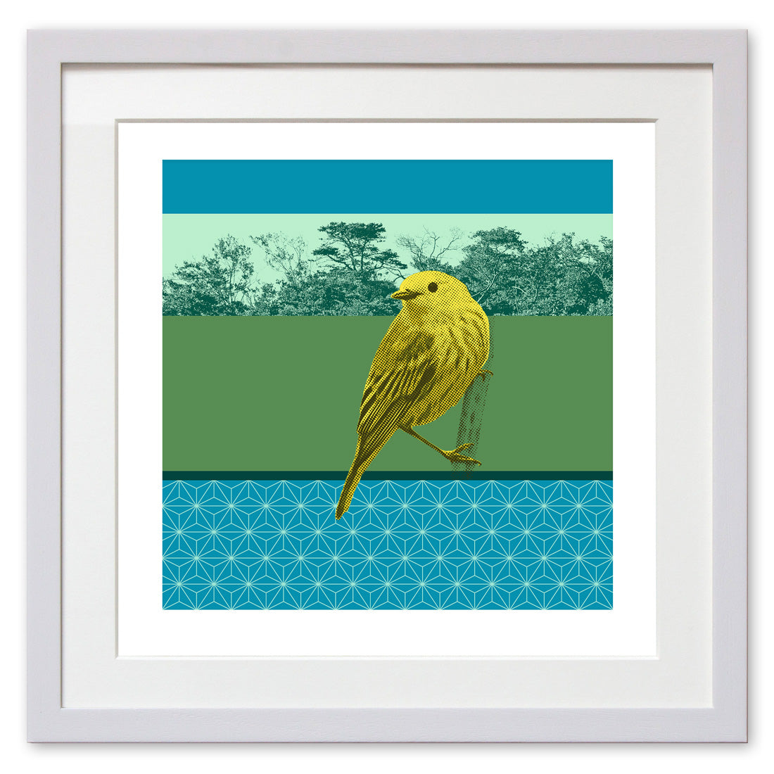 Yellow Warbler
