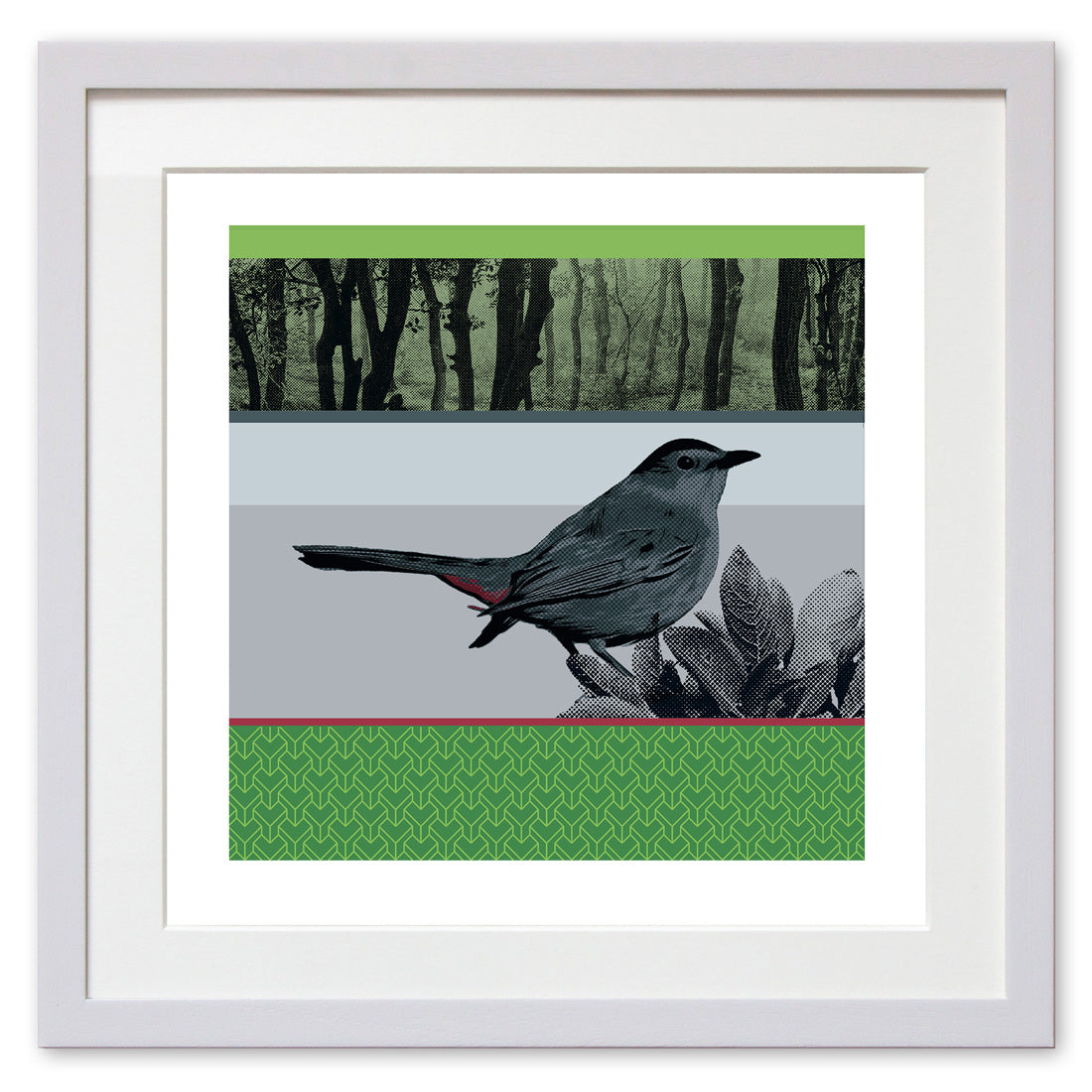 Gray Catbird