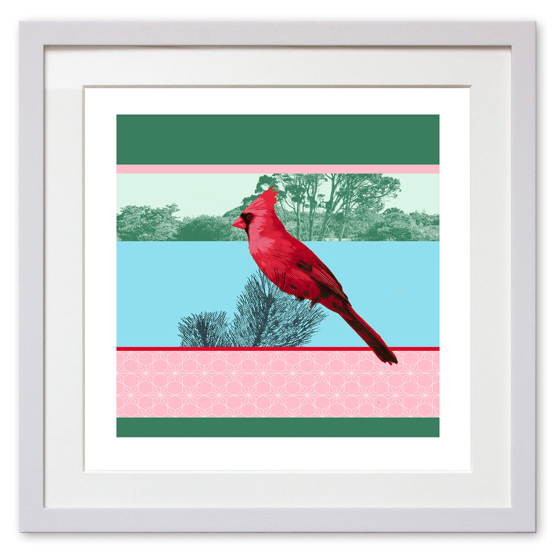 Red Cardinal