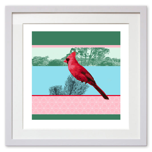 Red Cardinal